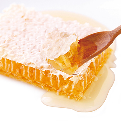 福岡県八女産 巣みつ