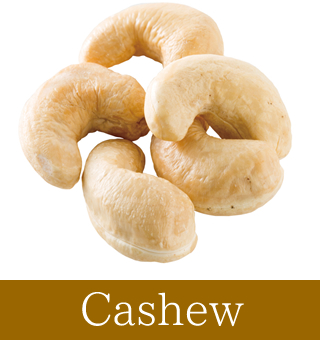 Cashew