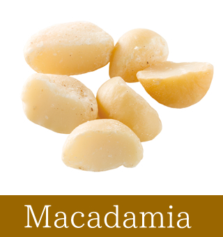 Macadamia