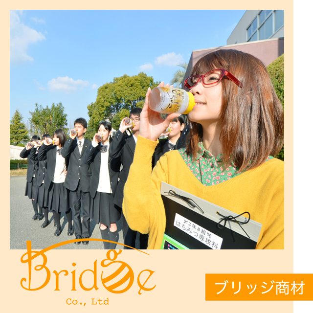 ブリッジ商材